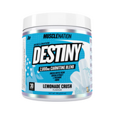 Destiny by Muscle Nation