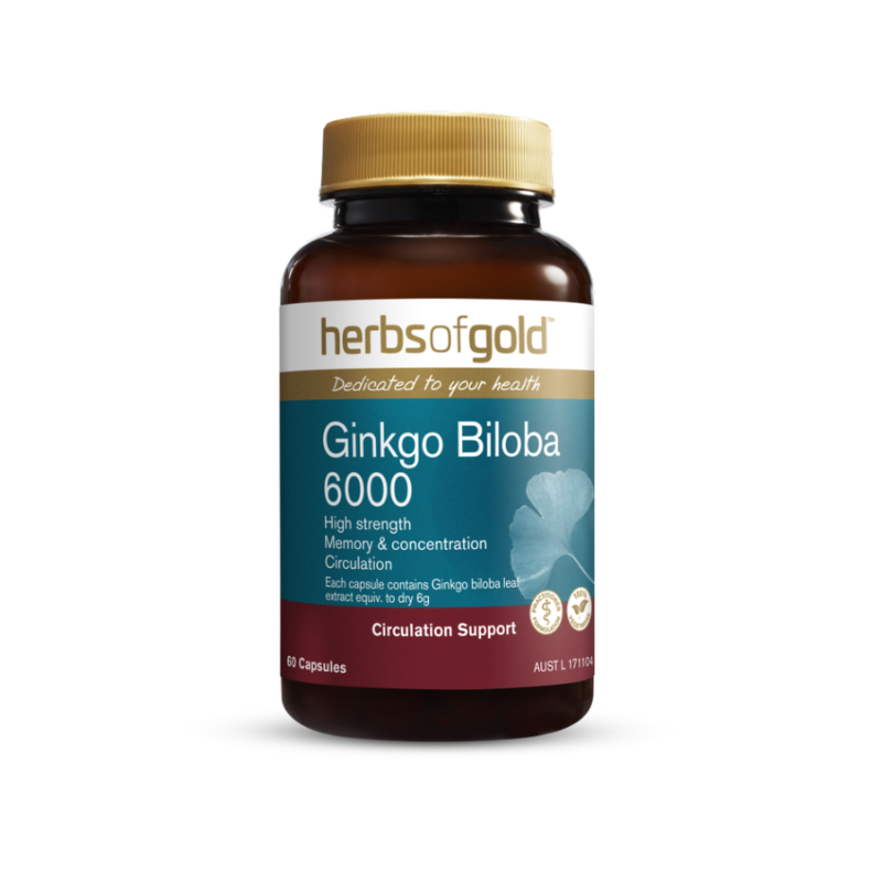 Ginko Biloba - How It Helps Memory and Circulation