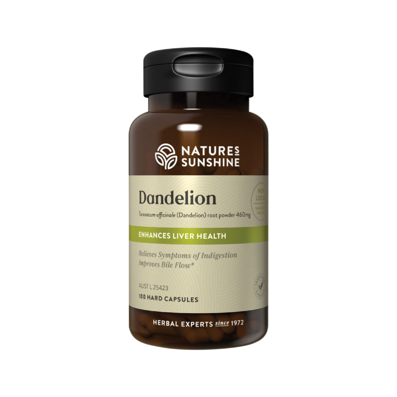 Dandelion for Healthy Digestion Constipation Boost your Immune System